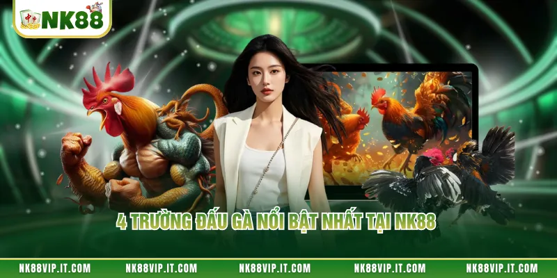 4 trường đấu gà nổi bật nhất tại NK88