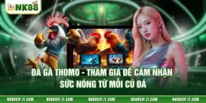 Đá gà Thomo - Tham Gia Để Cảm Nhận Sức Nóng Từ Mỗi Cú Đá