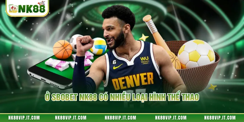Ở Sbobet NK88 có nhiều loại hình thể thao